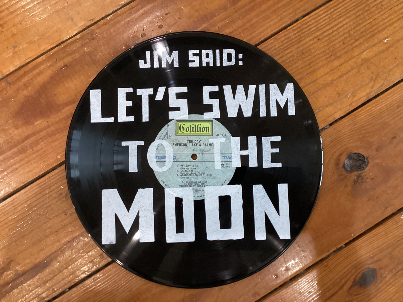 Vinyl Record Wall Art
