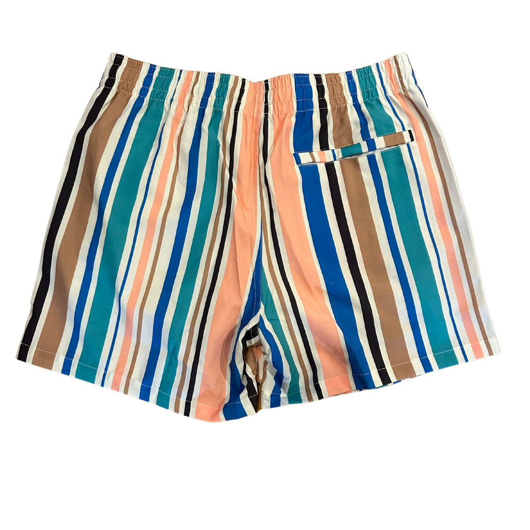 Men's Stripe Swim Shorts