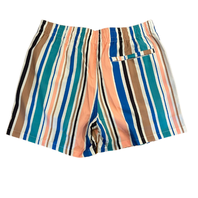 Men's Stripe Swim Shorts