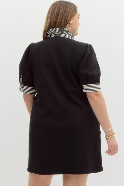 Black Pullover Polo Dress with Contrasting Ruffle Neck