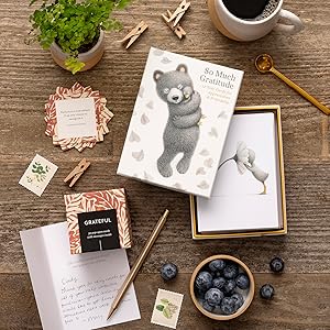 Compendium Boxed Note Cards – So Much Gratitude – 12 Note Cards for Appreciation & Friendship with Adorable Duckling and Bear Cub Illustrations